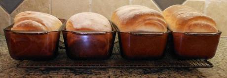 The two loaves on the left is my first batch.  It improved a little, but it didn't rise anywhere near as much as my second batch (on the right).