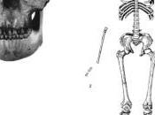 Most Complete Paranthropus Boisei Skeleton Found