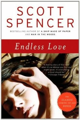 Book Review: Endless Love