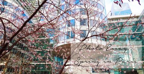 Photo Essay: Spring in Paris