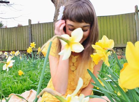 Violet Daffodils 2nd Birthday!
