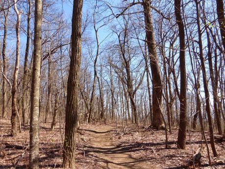 1 Day til Start Date...The Approach Trail