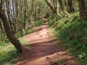 Torquay Teignmouth Coastal Woodland Walk, Devon