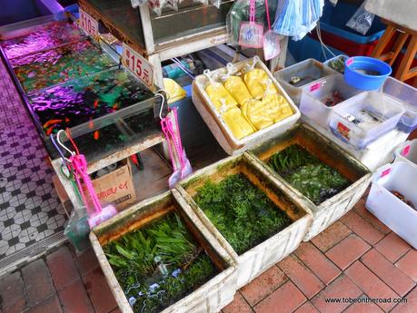 Aquarium, Gold Fish, Hongkong, South East Asia, 