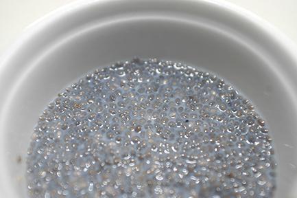 Coconut Chocolate Chia Pudding and Almond Chia Pudding almond chia set