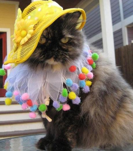 The World’s Top 10 Best Images of Cats Wearing Easter Bonnets