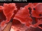 Corporate Donors Planned “Parenthood” Abortion-mill