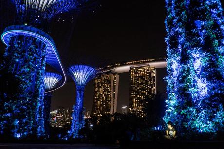Charlene at Gardens at the Bay with that insane scifi Marina Bay hotel feat 3 towers with a boat on top!