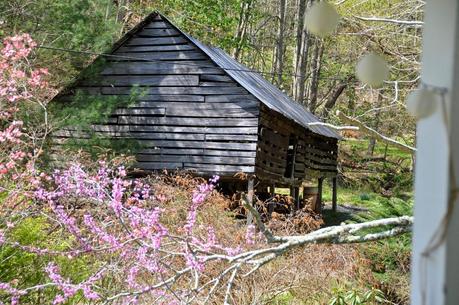 Easter at Wool Branch Farm