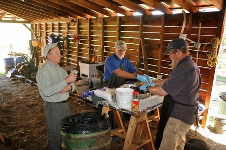 Easter at Wool Branch Farm