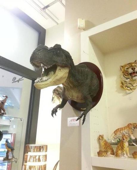 The World’s Top 10 Most Unusual Wall Mounted Heads