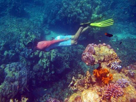 Snorkeling the Surins- Iona