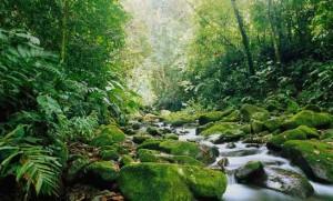 Costa Rica from Five Day Rental