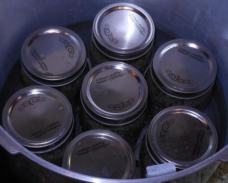 I placed my jars in my pressure canner and filled it with the amount of water specified in my pressure canner instruction book (which came with my canner).