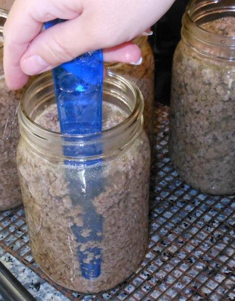 Then, I used my measuring guide/bubble remover to remove any air bubbles from the jars by running it between the meat and the edge of the jar.  Then I measured the head space again to ensure it was still one inch.