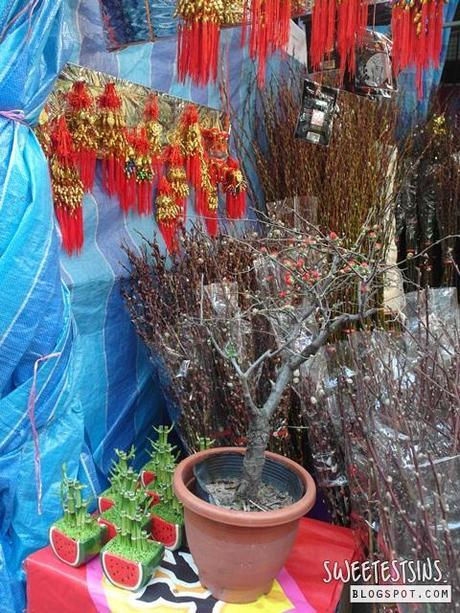 Chinatown, Singapore | Must-visit before Chinese New Year chinatown singapore must visit before chinese new year singapore travel blog (19)