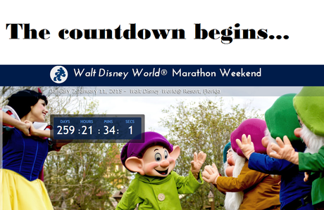 2015 Walt Disney World Marathon Weekend Registration! Are you in?