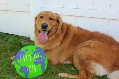 Earth Day Tips for Dogs