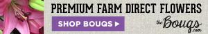 The Bouqs - Premium Farm Direct Flowers