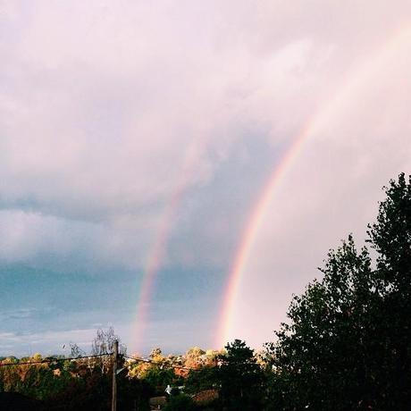 lime link love // no. 5 After the rain ... #autumn