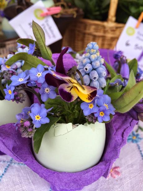 Cotswold legbarr blue shelled egg with forgetmenots, viola and grape hyacinths.