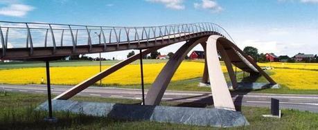 Leonardo Da Vinci’s Golden Horn Bridge
