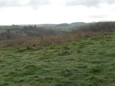 West Mendip Wander