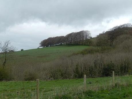 West Mendip Wander