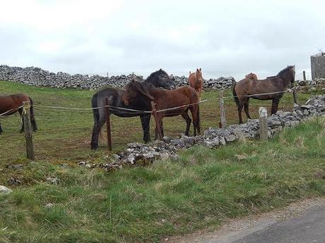 West Mendip Wander