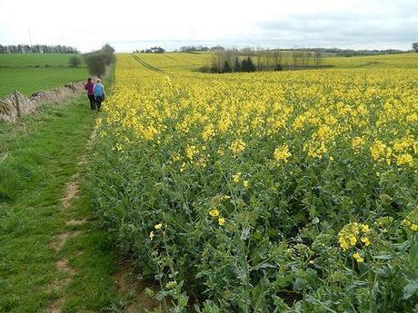 West Mendip Wander