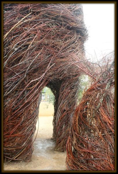 Art and Wine: The Perfect Mixture for Hall Wines Patrick Dougherty -