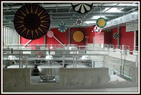 Art and Wine: The Perfect Mixture for Hall Wines winemaking-craft