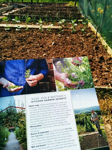 Book Review - Kitchen Garden Experts