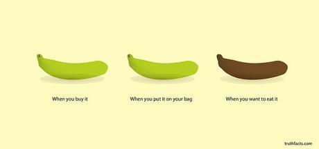 33 Brutally Honest Facts About Everyday Life. image 33 Brutally Honest Facts About Everyday Life.