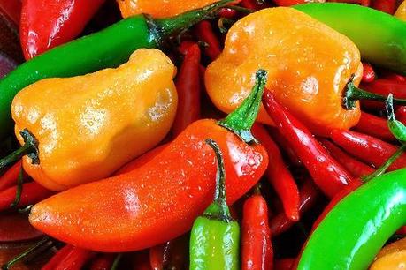 Colored Hot Peppers