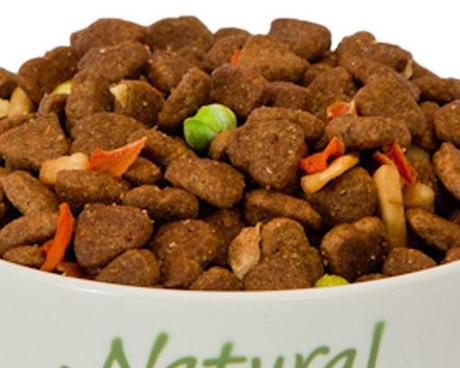 adult dog food