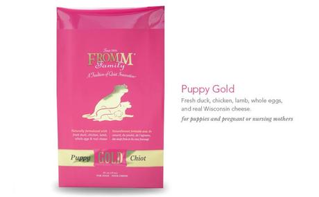 pregnant dog food