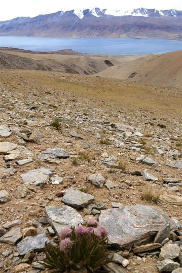 We began a long and slow slog up the pathless valley, always looking back for views o of the majestic blue... 