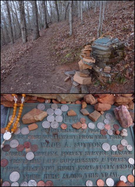 Day 8: Yup, Definitely NOT Flat