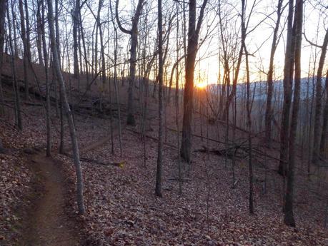 Day 8: Yup, Definitely NOT Flat