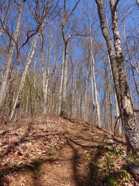 Day 8: Yup, Definitely NOT Flat