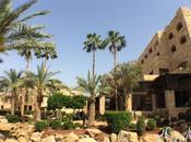 Star Mövenpick Resort Dead