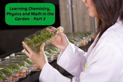 Learning Chemistry, Physics and Math in the Garden – Part 3 | LazyHippieMama.com