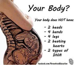 Not-your-body