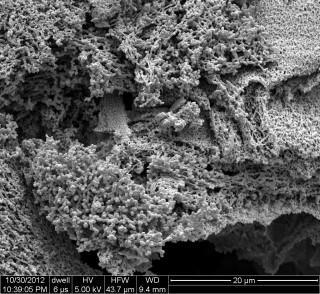 An electron microscope image shows carbon black nanoparticles modified by adding polyvinyl alcohol for downhole detection of hydrogen sulfide in oil and gas wells. The nanoreporters were created at Rice University