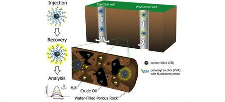 Nanoreporters tell ‘sour’ oil from ‘sweet’ while it is still in the ground