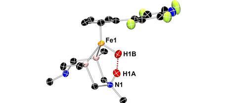 Neutron crystallography shows this iron catalyst gripping two hydrogen atoms (red spheres). This arrangement allows an unusual dihydrogen bond to form between the hydrogen atoms (red dots).