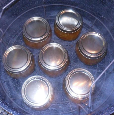 Once all my jars were carefully placed in my water bath canner, making sure the jars did not touch, I pout the lid on the pot and turned the heat on high.  When the water reached a full rolling boil, I started my timer and let the pot boil for 10 full minutes.  If you are canning and the water cools so it stops boiling, you need to start over (with your timing).  The jars must be processed at a full rolling boil for at least 10 minutes to ensure any bacteria is killed during the canning process.