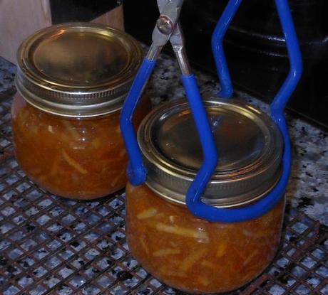 When the full 10 minutes had passed, I turned the stove off and removed the jars from the canner with my jar lifter.  The jars are very, very hot!  Please take care to ensure you do not get burned!