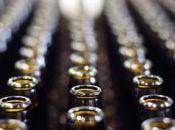 Restricting Florida Craft Beer Breweries Vote